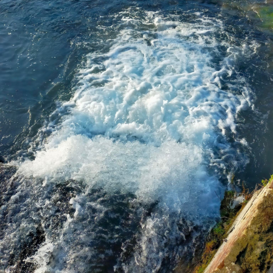 La Celle — La rivière du Moulin<br />La Celle traverse la propriété et accompagne le Moulin au fil des saisons. L'eau est omniprésente et fait partie intégrante de l'atmosphère du lieu. La Celle — La rivière du Moulin<br />La Celle traverse la propriété et accompagne le Moulin au fil des saisons. L'eau est omniprésente et fait partie intégrante de l'atmosphère du lieu.