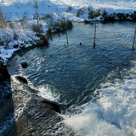 Le Moulin des Prés — La chute d'eau<br />La rivière franchit la chute du Moulin au rythme de l'eau, un élément emblématique du site qui rappelle son histoire de moulin à eau. Le Moulin des Prés — La chute d'eau<br />La rivière franchit la chute du Moulin au rythme de l'eau, un élément emblématique du site qui rappelle son histoire de moulin à eau.