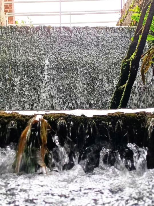 La Chute d'eau — la rivière la Celle traverse la propriété et alimente la chute d'eau, toujours accompagnée de son ancien vannage. La Chute d'eau — la rivière la Celle traverse la propriété et alimente la chute d'eau, toujours accompagnée de son ancien vannage.