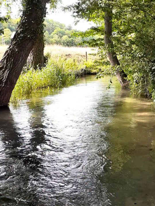 La Celle — La rivière du Moulin<br />La Celle traverse la propriété et accompagne le Moulin au fil des saisons. L'eau est omniprésente et fait partie intégrante de l'atmosphère du lieu. La Celle — La rivière du Moulin<br />La Celle traverse la propriété et accompagne le Moulin au fil des saisons. L'eau est omniprésente et fait partie intégrante de l'atmosphère du lieu.